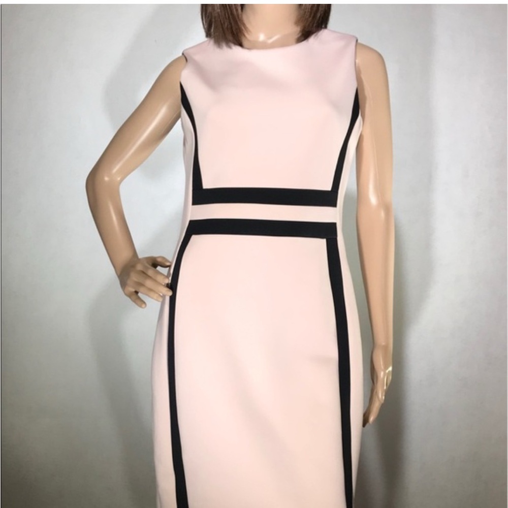 Calvin Klein Pink and Black Midi Dress